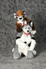 Filename=_DSC0460.jpg
Filesize=2270KiB
Dimensions=2852x4296
Date added=Feb 12, 2012 _DSC0460.jpg