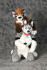 Filename=_DSC0461.jpg
Filesize=2199KiB
Dimensions=2852x4296
Date added=Feb 12, 2012 _DSC0461.jpg