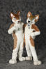 Filename=_DSC0496.jpg
Filesize=1847KiB
Dimensions=2852x4296
Date added=Feb 12, 2012 _DSC0496.jpg