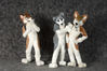 Filename=_DSC0497.jpg
Filesize=1927KiB
Dimensions=4296x2852
Date added=Feb 12, 2012 _DSC0497.jpg