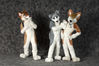 Filename=_DSC0498.jpg
Filesize=1954KiB
Dimensions=4296x2852
Date added=Feb 12, 2012 _DSC0498.jpg