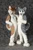 Filename=_DSC0499.jpg
Filesize=1959KiB
Dimensions=2852x4296
Date added=Feb 12, 2012 _DSC0499.jpg
