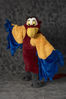 Filename=_DSC0540.jpg
Filesize=2049KiB
Dimensions=2852x4296
Date added=Feb 12, 2012 _DSC0540.jpg