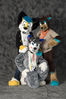Filename=_DSC0557.jpg
Filesize=2248KiB
Dimensions=2852x4296
Date added=Feb 12, 2012 _DSC0557.jpg