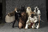 Filename=_DSC0620.jpg
Filesize=2076KiB
Dimensions=4296x2852
Date added=Feb 12, 2012 _DSC0620.jpg