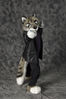 Filename=_DSC0636.jpg
Filesize=2097KiB
Dimensions=2852x4296
Date added=Feb 12, 2012 _DSC0636.jpg