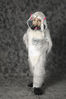 Filename=_DSC0723.jpg
Filesize=2044KiB
Dimensions=2852x4296
Date added=Feb 12, 2012 _DSC0723.jpg