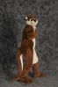 Filename=_DSC0910.jpg
Filesize=2075KiB
Dimensions=2852x4296
Date added=Feb 12, 2012 _DSC0910.jpg