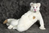 Filename=_DSC0927.jpg
Filesize=1707KiB
Dimensions=4296x2852
Date added=Feb 12, 2012 _DSC0927.jpg