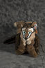 Filename=_DSC1098.jpg
Filesize=2106KiB
Dimensions=2852x4296
Date added=Feb 12, 2012 _DSC1098.jpg