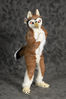 Filename=_DSC1107.jpg
Filesize=1981KiB
Dimensions=2852x4296
Date added=Feb 12, 2012 _DSC1107.jpg