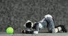 Filename=DSC_5253.jpg
Filesize=1636KiB
Dimensions=6090x3266
Date added=Mar 04, 2013 DSC_5253.jpg