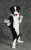 Filename=DSC_5369.jpg
Filesize=1968KiB
Dimensions=4297x6886
Date added=Mar 04, 2013 DSC_5369.jpg