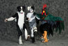 Filename=DSC_5375.jpg
Filesize=2628KiB
Dimensions=6918x4746
Date added=Mar 04, 2013 DSC_5375.jpg