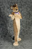 Filename=DSC_5566.jpg
Filesize=3123KiB
Dimensions=4912x7360
Date added=Mar 04, 2013 DSC_5566.jpg