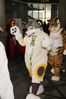 Filename=DSC_2395.jpg
Filesize=2098KiB
Dimensions=4912x7360
Date added=Feb 03, 2014 DSC_2395.jpg