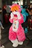 Filename=DSC_2406.jpg
Filesize=2771KiB
Dimensions=4912x7360
Date added=Feb 03, 2014 DSC_2406.jpg