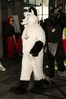 Filename=DSC_2414.jpg
Filesize=2077KiB
Dimensions=4912x7360
Date added=Feb 03, 2014 DSC_2414.jpg