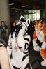 Filename=DSC_2546.jpg
Filesize=1831KiB
Dimensions=4912x7360
Date added=Feb 03, 2014 DSC_2546.jpg