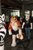 Filename=DSC_2547.jpg
Filesize=2380KiB
Dimensions=4912x7360
Date added=Feb 03, 2014 DSC_2547.jpg
