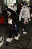 Filename=DSC_2551.jpg
Filesize=1497KiB
Dimensions=3645x5467
Date added=Feb 03, 2014 DSC_2551.jpg
