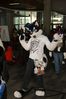 Filename=DSC_2552.jpg
Filesize=2273KiB
Dimensions=4912x7360
Date added=Feb 03, 2014 DSC_2552.jpg