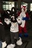 Filename=DSC_2554.jpg
Filesize=2247KiB
Dimensions=4912x7360
Date added=Feb 03, 2014 DSC_2554.jpg
