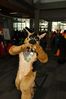 Filename=DSC_2561.jpg
Filesize=2108KiB
Dimensions=4912x7360
Date added=Feb 03, 2014 DSC_2561.jpg