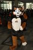 Filename=DSC_2572.jpg
Filesize=1842KiB
Dimensions=3960x5939
Date added=Feb 03, 2014 DSC_2572.jpg