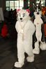 Filename=DSC_2691.jpg
Filesize=2003KiB
Dimensions=4912x7360
Date added=Feb 03, 2014 DSC_2691.jpg