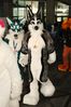 Filename=DSC_2692.jpg
Filesize=2200KiB
Dimensions=4912x7360
Date added=Feb 03, 2014 DSC_2692.jpg