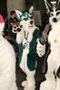 Filename=DSC_2693.jpg
Filesize=2250KiB
Dimensions=4912x7360
Date added=Feb 03, 2014 DSC_2693.jpg