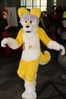 Filename=DSC_2699.jpg
Filesize=2175KiB
Dimensions=4912x7360
Date added=Feb 03, 2014 DSC_2699.jpg