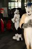 Filename=DSC_2718.jpg
Filesize=1989KiB
Dimensions=4912x7360
Date added=Feb 03, 2014 DSC_2718.jpg