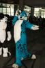 Filename=DSC_2719.jpg
Filesize=2671KiB
Dimensions=4912x7360
Date added=Feb 03, 2014 DSC_2719.jpg