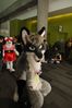 Filename=DSC_2726.jpg
Filesize=2021KiB
Dimensions=4912x7360
Date added=Feb 03, 2014 DSC_2726.jpg