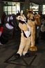 Filename=DSC_2814.jpg
Filesize=2904KiB
Dimensions=4912x7360
Date added=Feb 03, 2014 DSC_2814.jpg