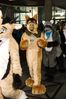 Filename=DSC_2815.jpg
Filesize=2656KiB
Dimensions=4912x7360
Date added=Feb 03, 2014 DSC_2815.jpg