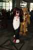 Filename=DSC_2818.jpg
Filesize=2729KiB
Dimensions=4912x7360
Date added=Feb 03, 2014 DSC_2818.jpg