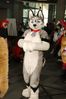 Filename=DSC_2820.jpg
Filesize=2258KiB
Dimensions=4912x7360
Date added=Feb 03, 2014 DSC_2820.jpg