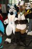 Filename=DSC_2823.jpg
Filesize=2843KiB
Dimensions=4912x7360
Date added=Feb 03, 2014 DSC_2823.jpg