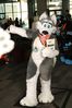 Filename=DSC_2826.jpg
Filesize=2288KiB
Dimensions=4912x7360
Date added=Feb 03, 2014 DSC_2826.jpg