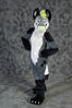 Filename=DSC_2143.jpg
Filesize=2303KiB
Dimensions=4688x7026
Date added=Jan 27, 2014 DSC_2143.jpg