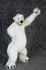 Filename=DSC_2335.jpg
Filesize=2322KiB
Dimensions=4832x7241
Date added=Jan 27, 2014 DSC_2335.jpg