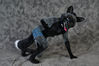 Filename=DSC_2709.jpg
Filesize=2587KiB
Dimensions=7360x4912
Date added=Jan 27, 2014 DSC_2709.jpg