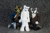 Filename=DSC_2726.jpg
Filesize=2323KiB
Dimensions=7360x4912
Date added=Jan 27, 2014 DSC_2726.jpg