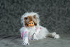 Filename=DSC_2752.jpg
Filesize=2128KiB
Dimensions=7360x4912
Date added=Jan 27, 2014 DSC_2752.jpg