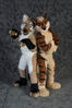 Filename=DSC_2813.jpg
Filesize=2299KiB
Dimensions=4737x7098
Date added=Jan 27, 2014 DSC_2813.jpg