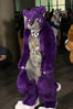 Filename=DSC_8290.jpg
Filesize=1860KiB
Dimensions=4912x7360
Date added=Feb 01, 2015 DSC_8290.jpg