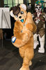 Filename=DSC_8291.jpg
Filesize=2047KiB
Dimensions=4912x7360
Date added=Feb 01, 2015 DSC_8291.jpg